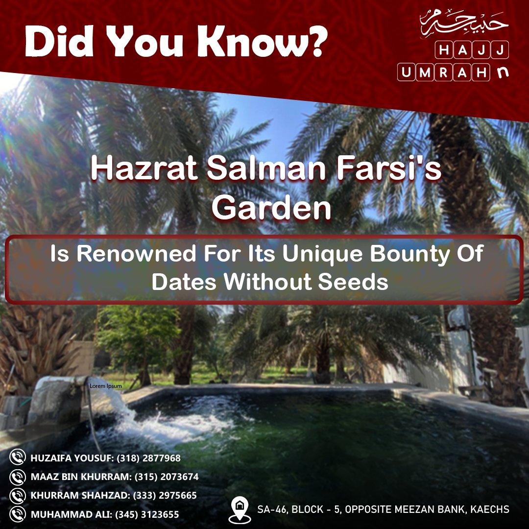 Hazrat Salman Farsi Garden – A Blessed Landmark in Madinah